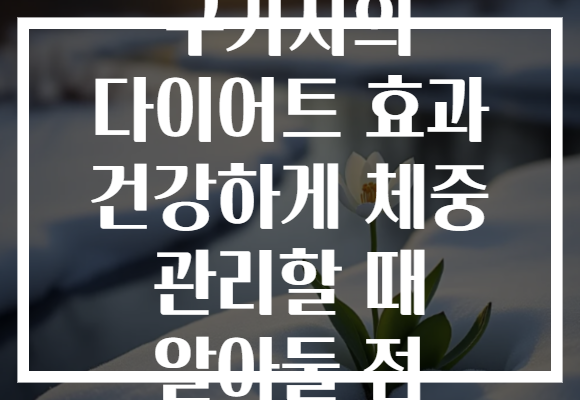 구기자의 다이어트 효과 건강하게 체중 관리할 때 알아둘 점