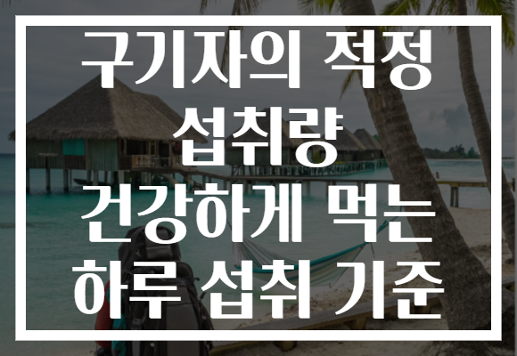 구기자의 적정 섭취량 건강하게 먹는 하루 섭취 기준