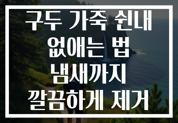 구두 가죽 쉰내 없애는 법 냄새까지 깔끔하게 제거