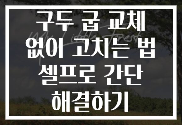 구두 굽 교체 없이 고치는 법 셀프로 간단 해결하기