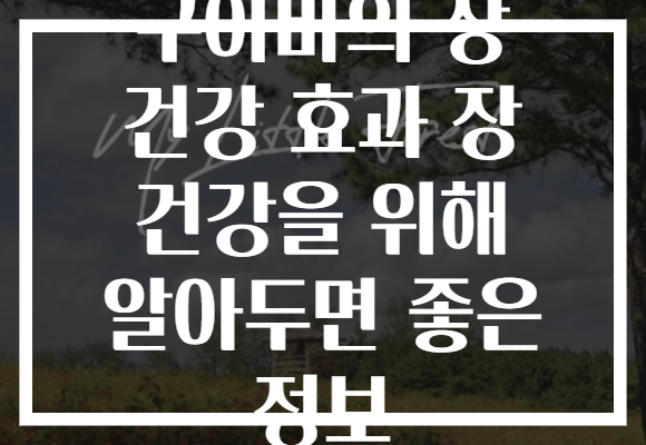 구아바의 장 건강 효과 장 건강을 위해 알아두면 좋은 정보
