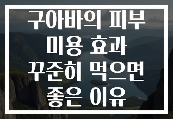 구아바의 피부 미용 효과 꾸준히 먹으면 좋은 이유