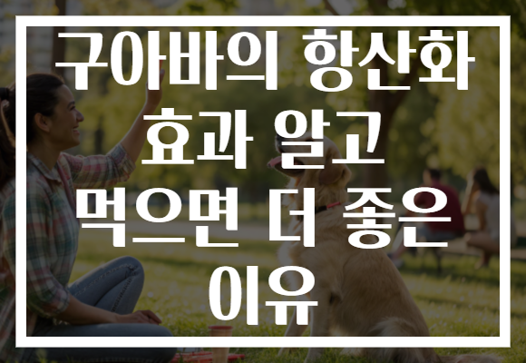 구아바의 항산화 효과 알고 먹으면 더 좋은 이유