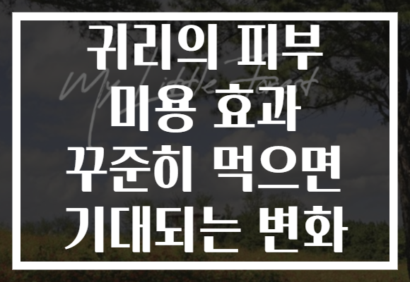 귀리의 피부 미용 효과 꾸준히 먹으면 기대되는 변화