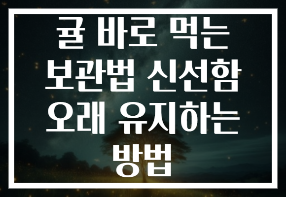 귤 바로 먹는 보관법 신선함 오래 유지하는 방법