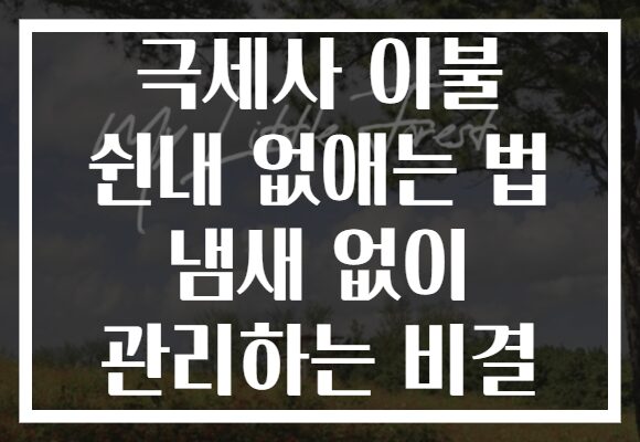 극세사 이불 쉰내 없애는 법 냄새 없이 관리하는 비결