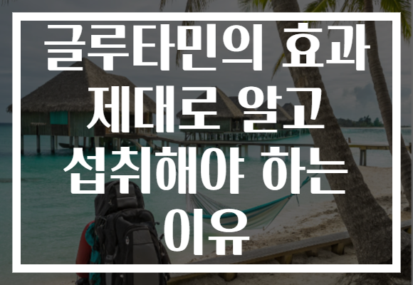 글루타민의 효과 제대로 알고 섭취해야 하는 이유