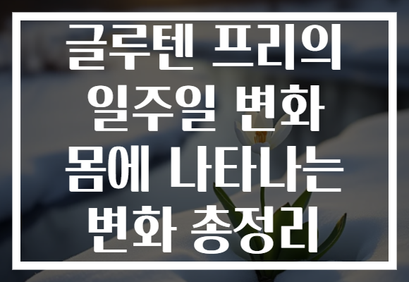 글루텐 프리의 일주일 변화 몸에 나타나는 변화 총정리