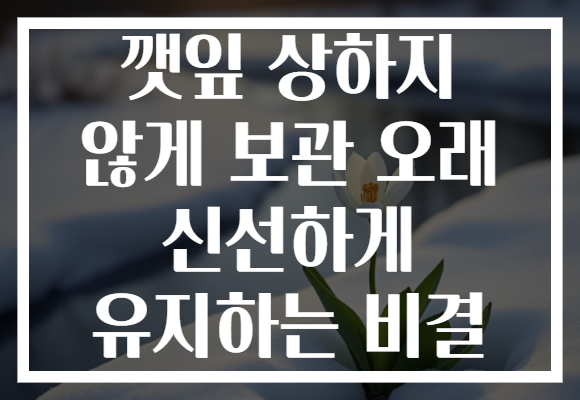 깻잎 상하지 않게 보관 오래 신선하게 유지하는 비결