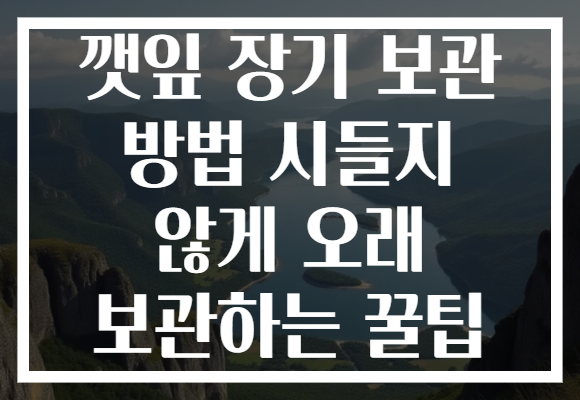 깻잎 장기 보관 방법 시들지 않게 오래 보관하는 꿀팁