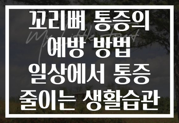 꼬리뼈 통증의 예방 방법 일상에서 통증 줄이는 생활습관