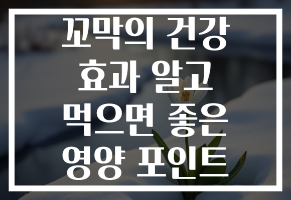 꼬막의 건강 효과 알고 먹으면 좋은 영양 포인트