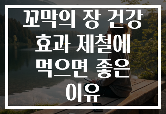 꼬막의 장 건강 효과 제철에 먹으면 좋은 이유