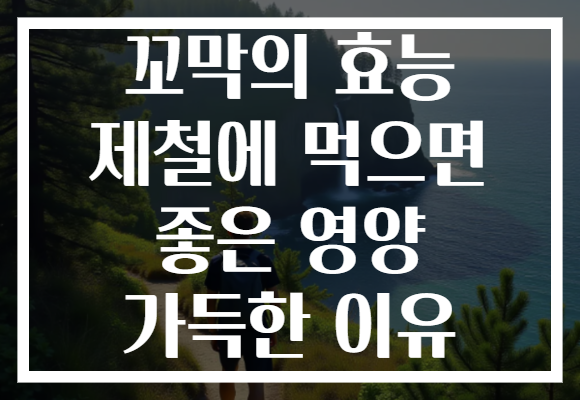 꼬막의 효능 제철에 먹으면 좋은 영양 가득한 이유