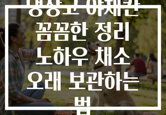 냉장고 야채칸 꼼꼼한 정리 노하우 채소 오래 보관하는 법