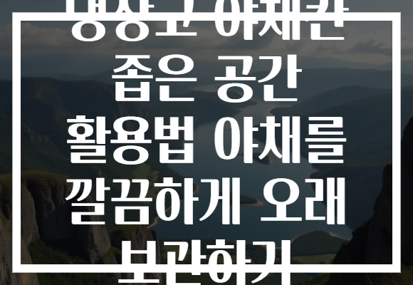 냉장고 야채칸 좁은 공간 활용법 야채를 깔끔하게 오래 보관하기