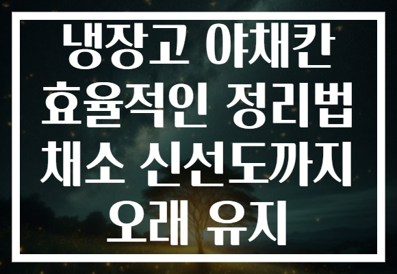 냉장고 야채칸 효율적인 정리법 채소 신선도까지 오래 유지
