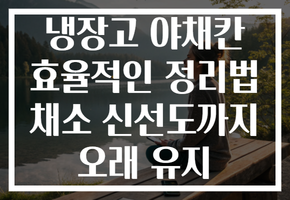 냉장고 야채칸 효율적인 정리법 채소 신선도까지 오래 유지