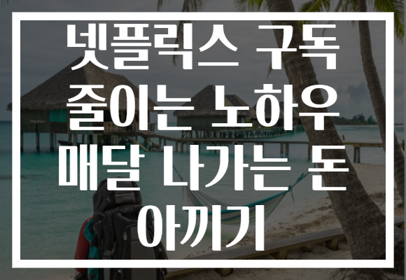 넷플릭스 구독 줄이는 노하우 매달 나가는 돈 아끼기