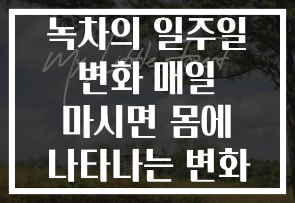 녹차의 일주일 변화 매일 마시면 몸에 나타나는 변화