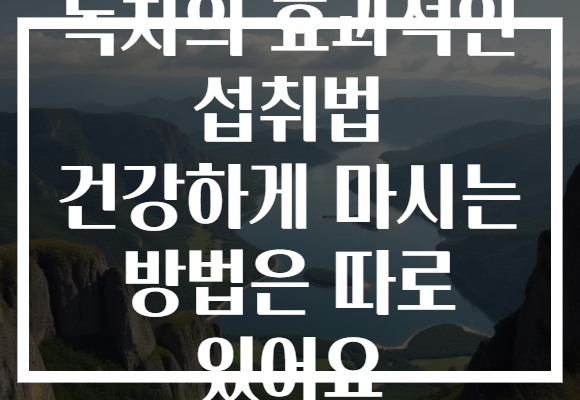 녹차의 효과적인 섭취법 건강하게 마시는 방법은 따로 있어요