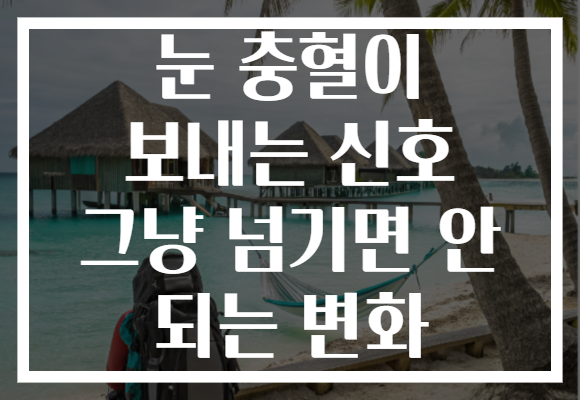 눈 충혈이 보내는 신호 그냥 넘기면 안 되는 변화