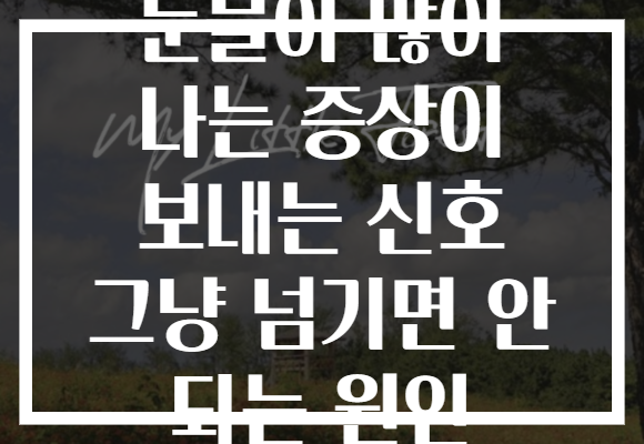 눈물이 많이 나는 증상이 보내는 신호 그냥 넘기면 안 되는 원인