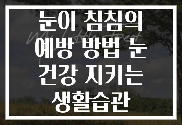 눈이 침침의 예방 방법 눈 건강 지키는 생활습관