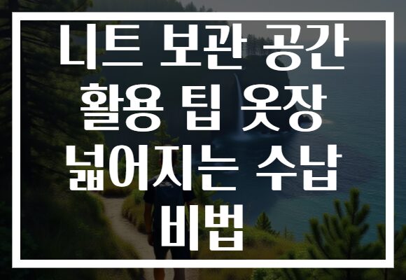 니트 보관 공간 활용 팁 옷장 넓어지는 수납 비법