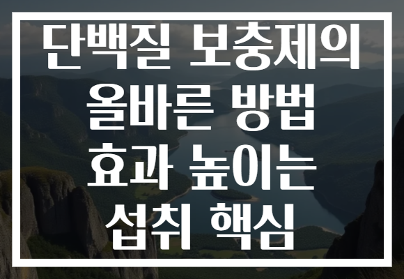 단백질 보충제의 올바른 방법 효과 높이는 섭취 핵심