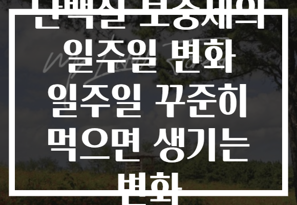단백질 보충제의 일주일 변화 일주일 꾸준히 먹으면 생기는 변화