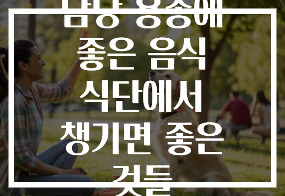 담낭 용종에 좋은 음식 식단에서 챙기면 좋은 것들