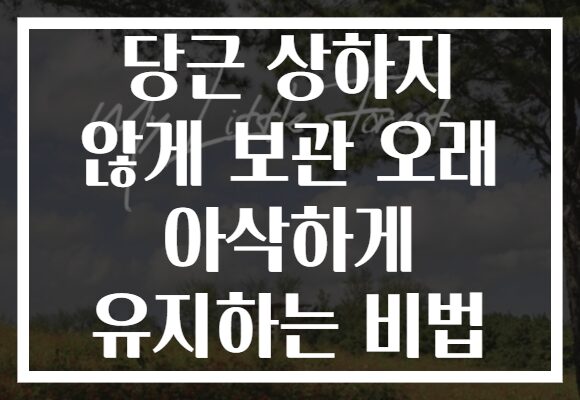 당근 상하지 않게 보관 오래 아삭하게 유지하는 비법