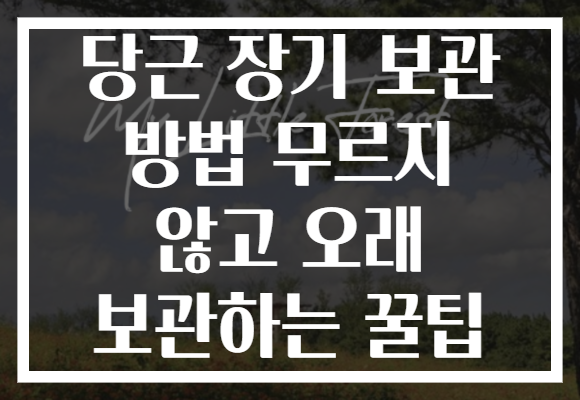 당근 장기 보관 방법 무르지 않고 오래 보관하는 꿀팁