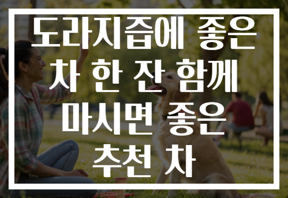 도라지즙에 좋은 차 한 잔 함께 마시면 좋은 추천 차