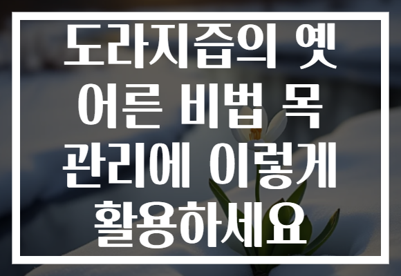 도라지즙의 옛 어른 비법 목 관리에 이렇게 활용하세요