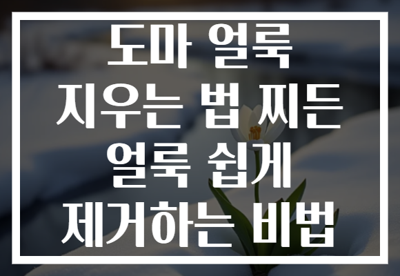 도마 얼룩 지우는 법 찌든 얼룩 쉽게 제거하는 비법