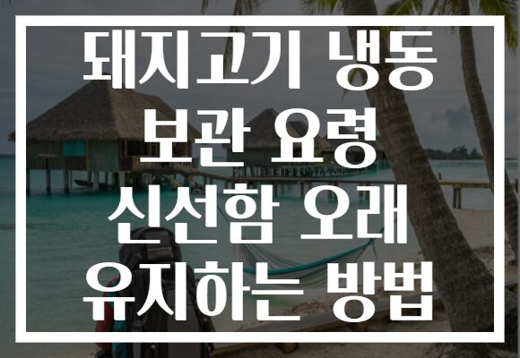 돼지고기 냉동 보관 요령 신선함 오래 유지하는 방법