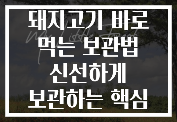돼지고기 바로 먹는 보관법 신선하게 보관하는 핵심
