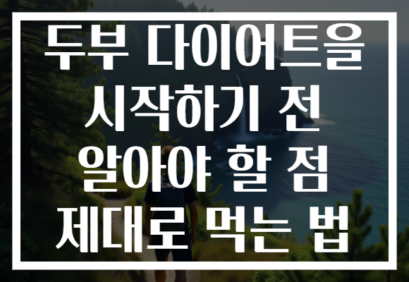 두부 다이어트을 시작하기 전 알아야 할 점 제대로 먹는 법
