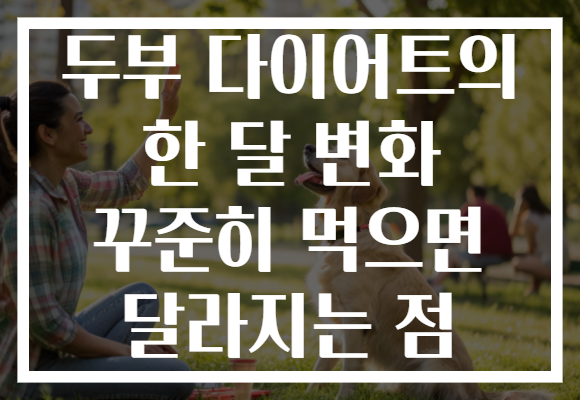두부 다이어트의 한 달 변화 꾸준히 먹으면 달라지는 점