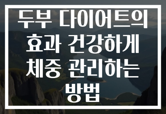 두부 다이어트의 효과 건강하게 체중 관리하는 방법