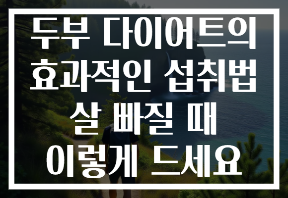 두부 다이어트의 효과적인 섭취법 살 빠질 때 이렇게 드세요