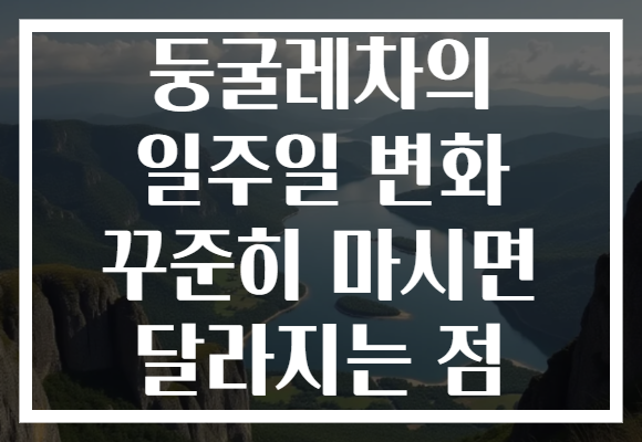 둥굴레차의 일주일 변화 꾸준히 마시면 달라지는 점