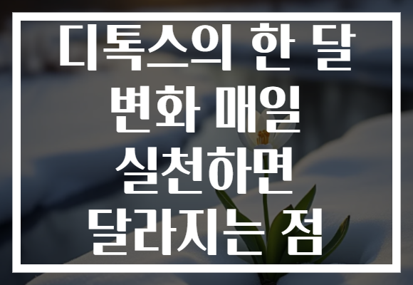 디톡스의 한 달 변화 매일 실천하면 달라지는 점