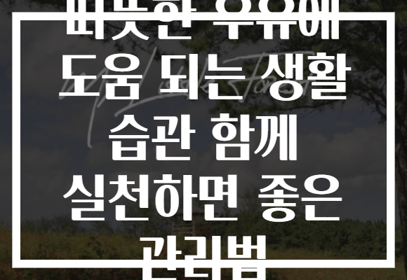 따뜻한 우유에 도움 되는 생활 습관 함께 실천하면 좋은 관리법