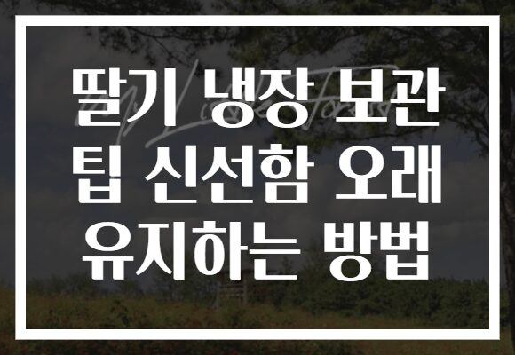 딸기 냉장 보관 팁 신선함 오래 유지하는 방법