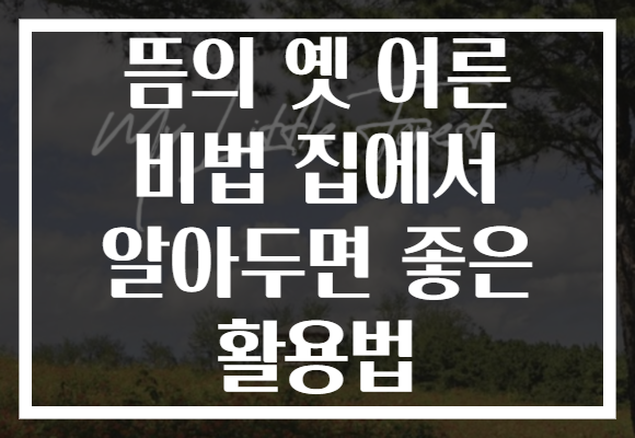 뜸의 옛 어른 비법 집에서 알아두면 좋은 활용법