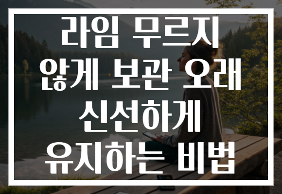 라임 무르지 않게 보관 오래 신선하게 유지하는 비법