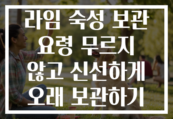 라임 숙성 보관 요령 무르지 않고 신선하게 오래 보관하기